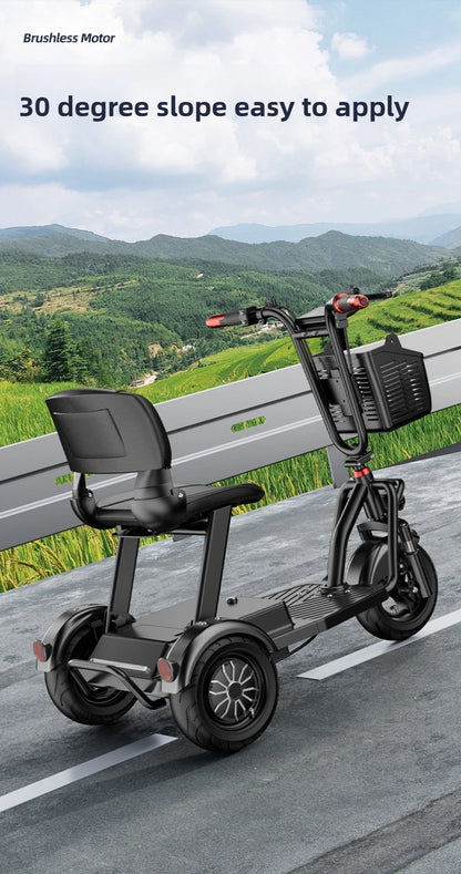 Disabled Commuting Mobility Scooter Mini Small Elderly Leisure Electric Bike Folding Removable Lithium Battery Electric Tricycle