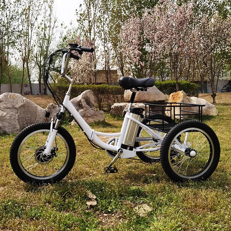 20 Inch Foldable Electric Tricycle 350W Brushless Motor 48V10.4Ah Lithium Battery 40km Max Load 150KG Adult 7Speed Cargo E-Trike