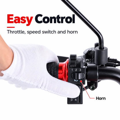 3 Wheels Electric Scooter For Adults Foldable Armrest/Mirror 1000W 48V 20Ah Electric Tricycle For Elderly Removable Battery