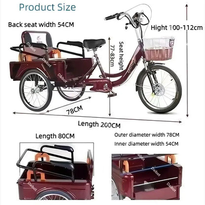 3 Wheel Adult Cargo Electric Bike Boost Long Range 350W 20AH Hide Battery Removable Passenger Electric Tricycle For Senior Woman